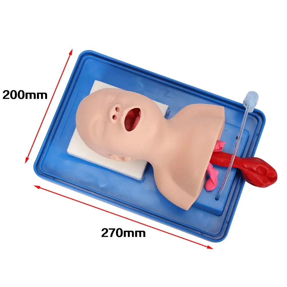 Imagem -05 - Modelo de Intubação Traqueal Neonatal Instrutor de Gerenciamento de Vvias Aéreas Infantil Manequim de Treinamento de Intubação