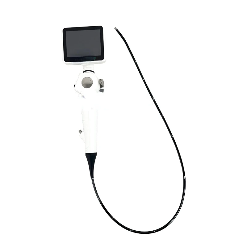 SY-P029-3 Portable video cystoscope optic flexible endoscope