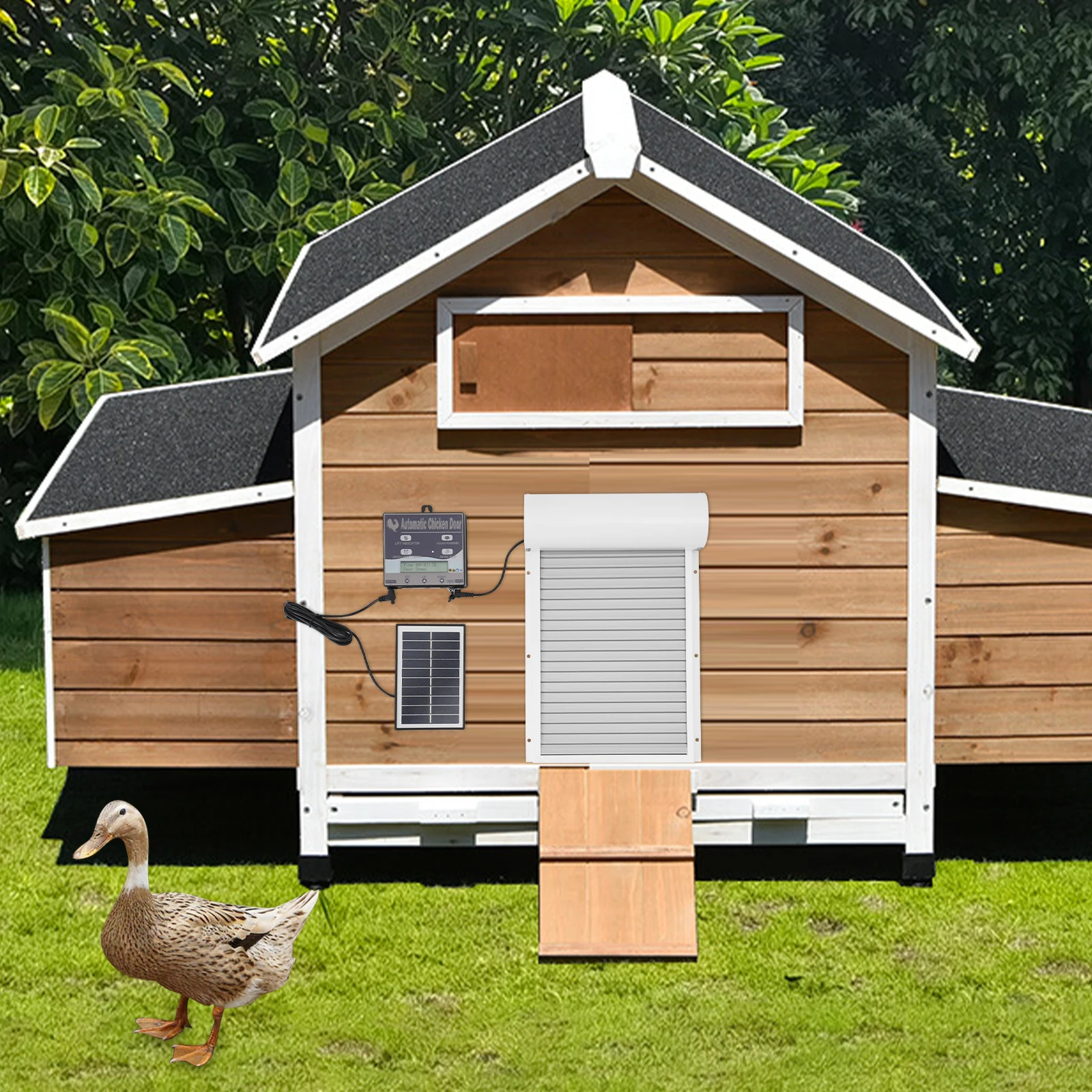 باب حظيرة الدجاج الأوتوماتيكي الذي يعمل بالطاقة الشمسية مع جهاز تحكم عن بعد ومؤقت قابل للتعديل IP67 باب دجاج مقاوم للماء ومضاد للقرصة