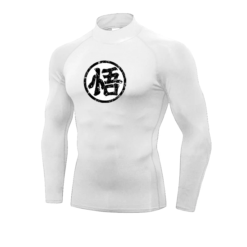 Compression Tight Mens Casual Long Sleeve Shirts Gym Bodybuilding Fitness T-shirts Autumn Breathable Quick Dry Training Clothing