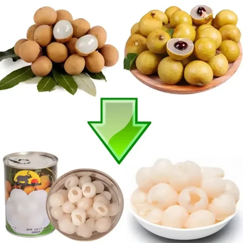 High Quality Date Pitter Prune Pitting Machine Dried Plum Destoner Pit Seed Separator Machine peach pear