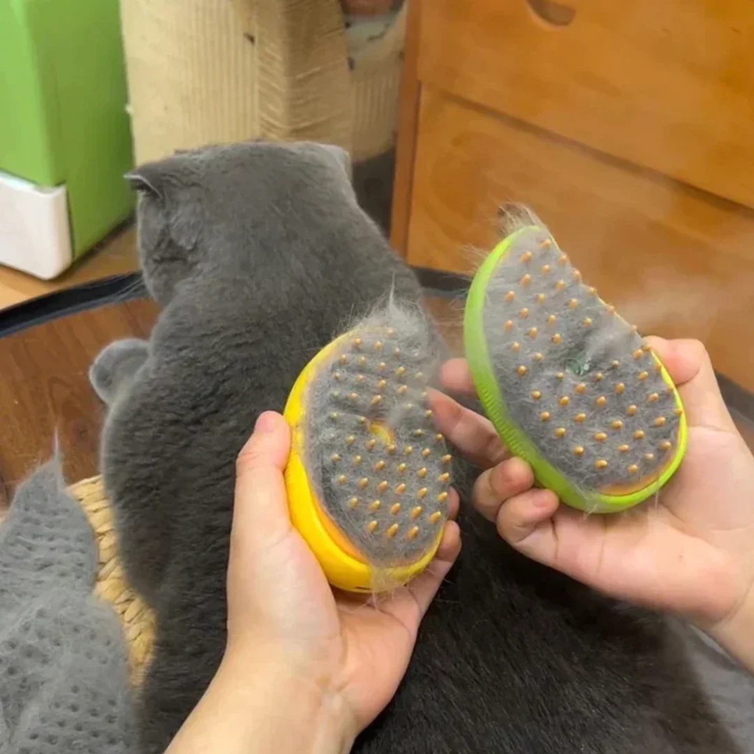 Brosse à Vapeur Électrique pour Chat, Pulvérisation d'Eau, Peigne pour Animaux de Compagnie, Épilation en Silicone Souple, Bain, Poils, Fournitures de Toilettage