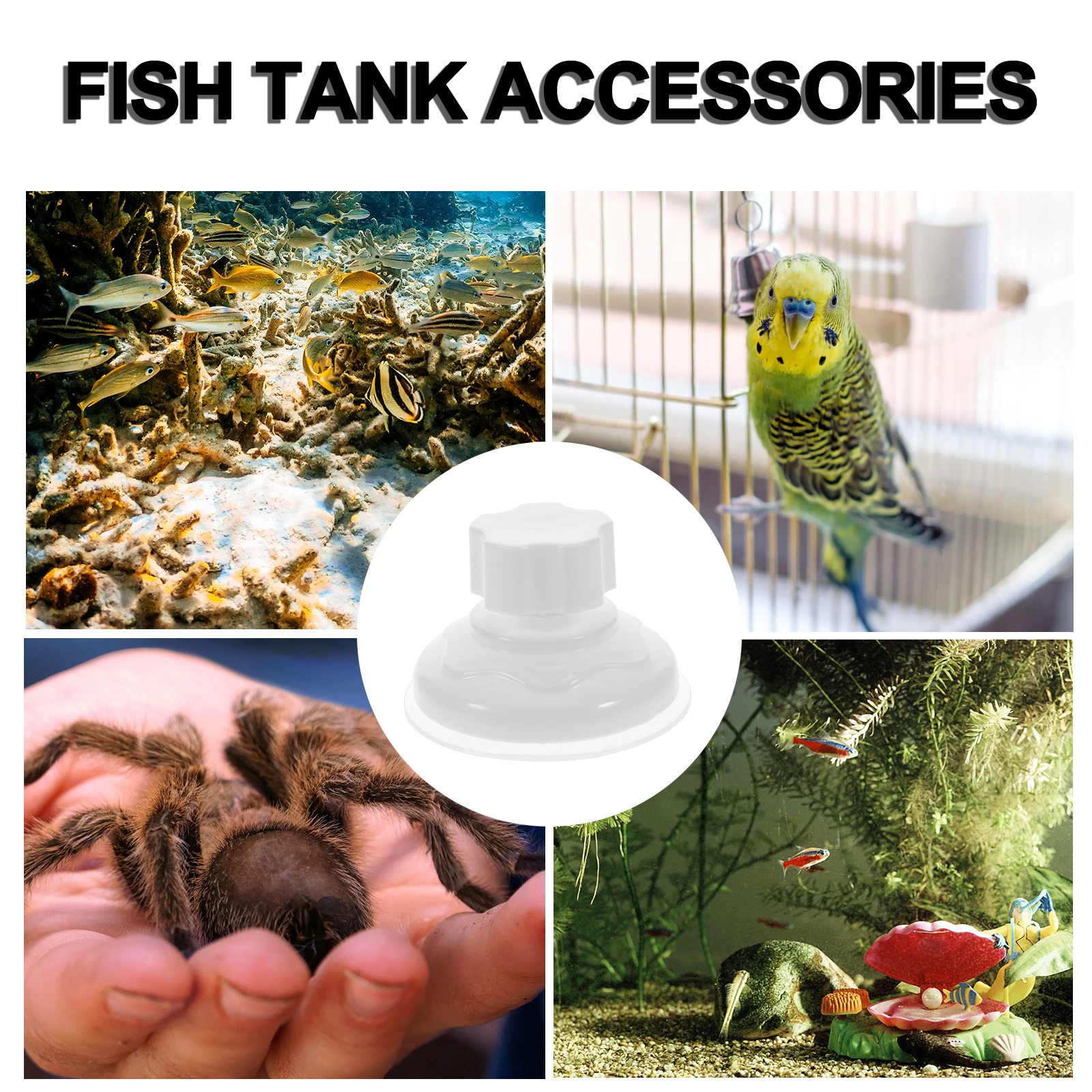 

6pcs White 5.8in Suction Cups for Birds Perch Turtle Platform Fish Tank Accessories Reptile Hammock Pet Nest Toy Cage
