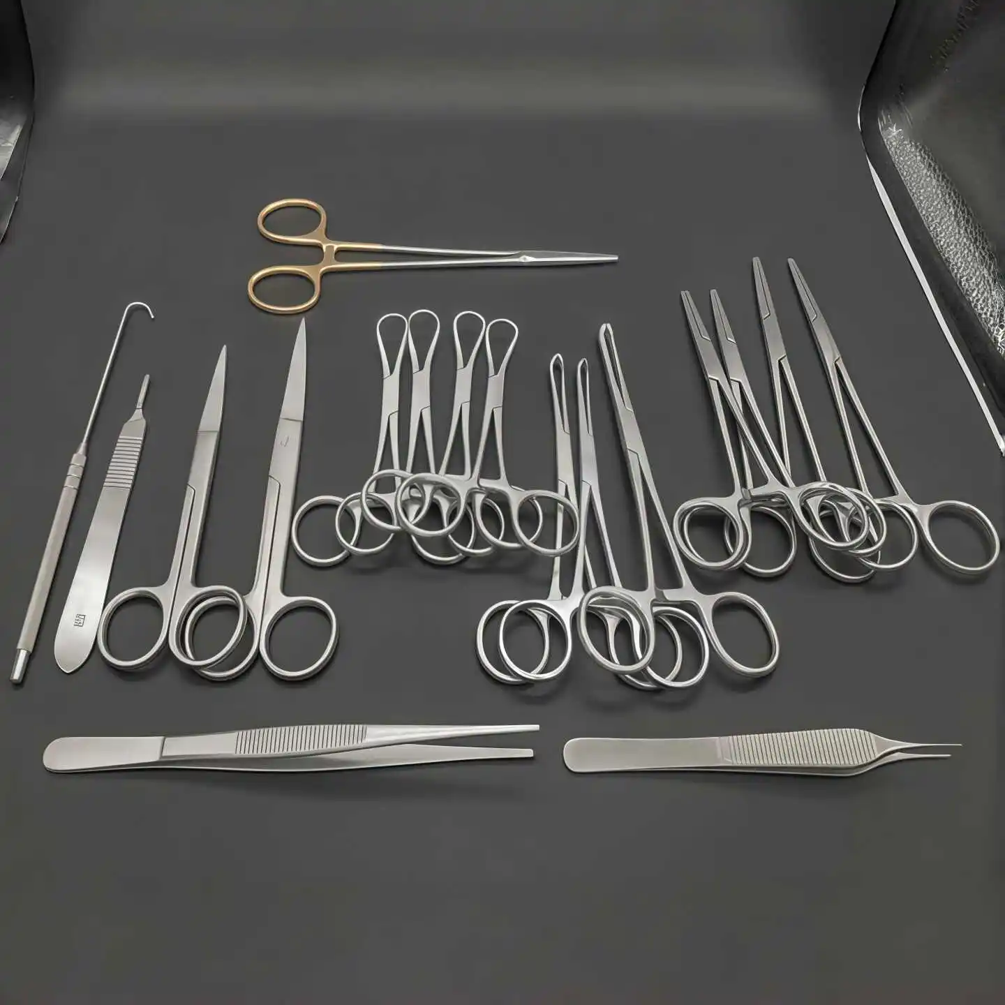 Professional Stainless Steel Experimental Anatomical & Dissection Instrument Set 5