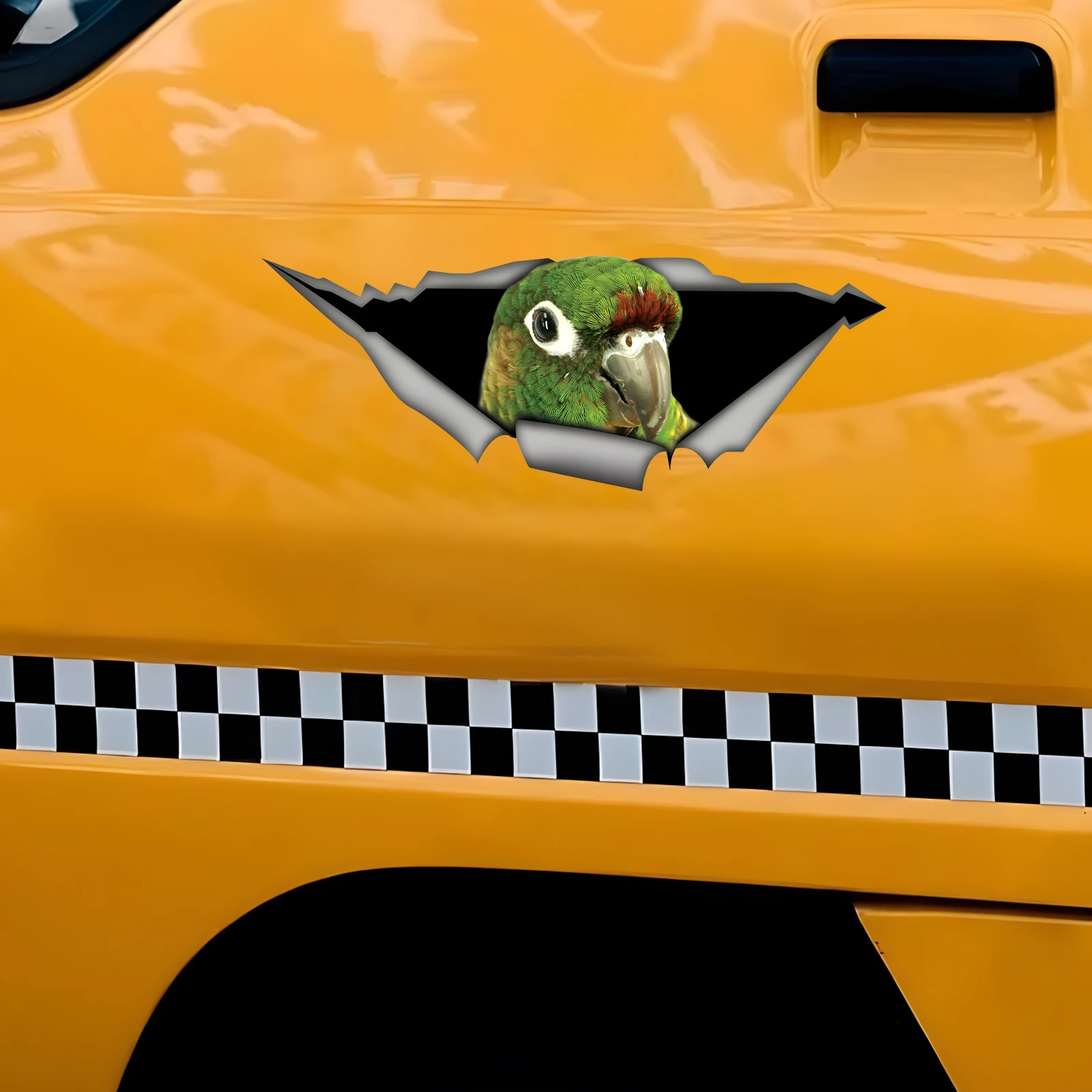 DK519# Green Cheek Conure Car Bumper Window Stickers For Car Truck Van Fashion Decals Vinyl Material Stickers