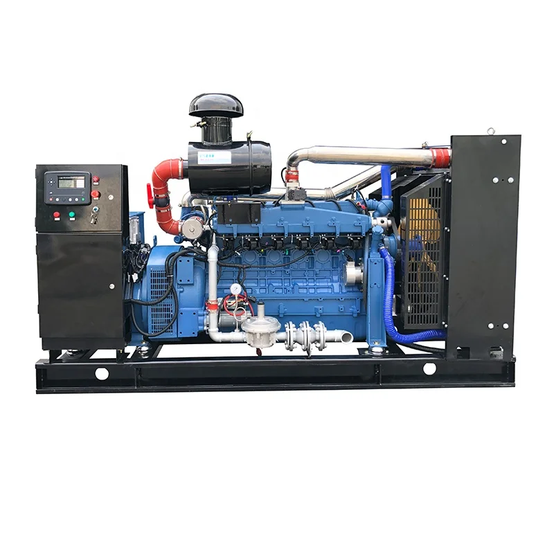 

Biogas Generator 100kw Electric for Chicken Pig Duck Farm Digester Power Plant