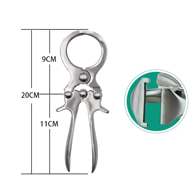 1 Pcs Stainless Steel Without Blood Pig Sheep castration Clamp Castration Tool Castration Forceps Livestock Tools