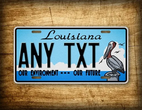 Personalized Louisiana Our Environment futur  License Plate ANY TEXT 6x12 Custom