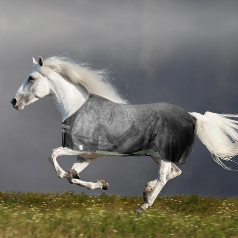 Capa proteção protetor cavalo folha mosca malha capa mosca para cavalos