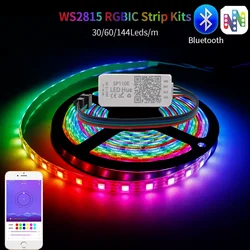 プログラム可能なRGB LEDストリップライト,個別にアドレス指定可能な照明,sp110e,Bluetooth,コントローラーキット,ws2815