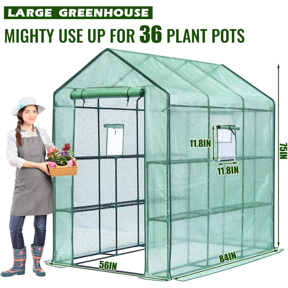 56 X 85 X 75'' Greenhouses Portable Greenhouse Kit with Mesh Side Windows Heavy Duty Walk in Green House