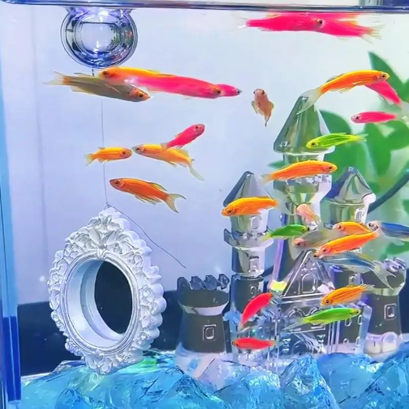 Hot Betta Training Mirror Floating Aquarium Decor Vintage Frame For Fighting Fish Exercise Tank Landscape Enrichment Ornament