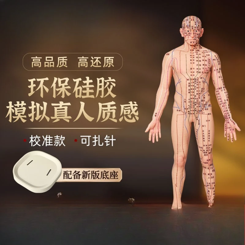 acupuncture human model meridian acupoints humanoid model whole body copper man simulation silicone real person
