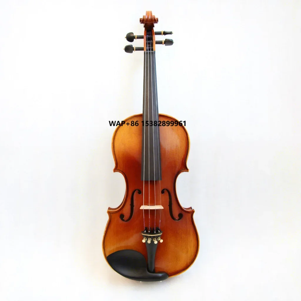 

Special Customized Hand Painting Spruce Front Plywood Back Flame Maple, One Piece Backboard 4/4 Professional Violin OEM