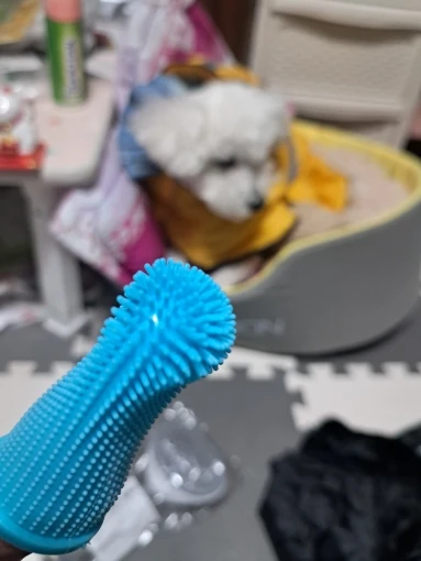 구매후기