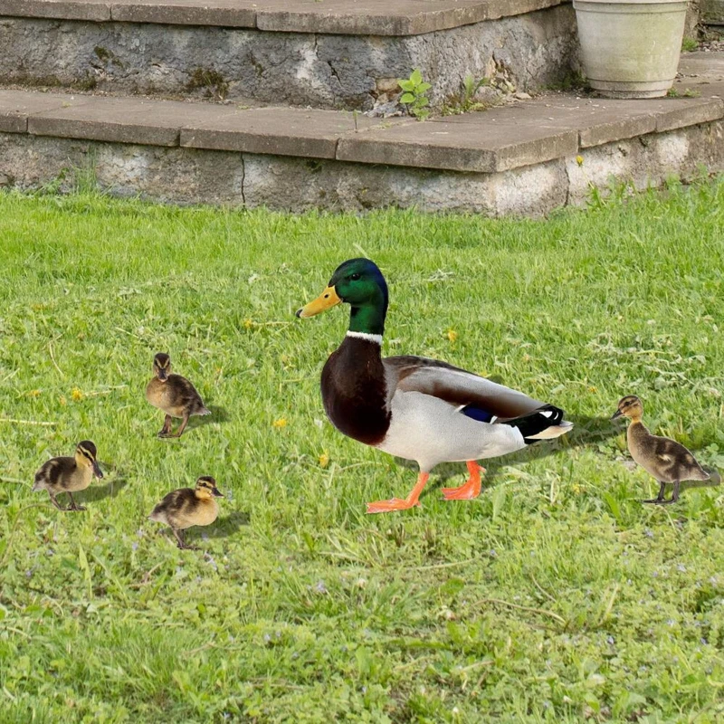 Acrylic Ducks Yard Sign Lawn Stakes Stakes Decor Outdoor Garden F1CC