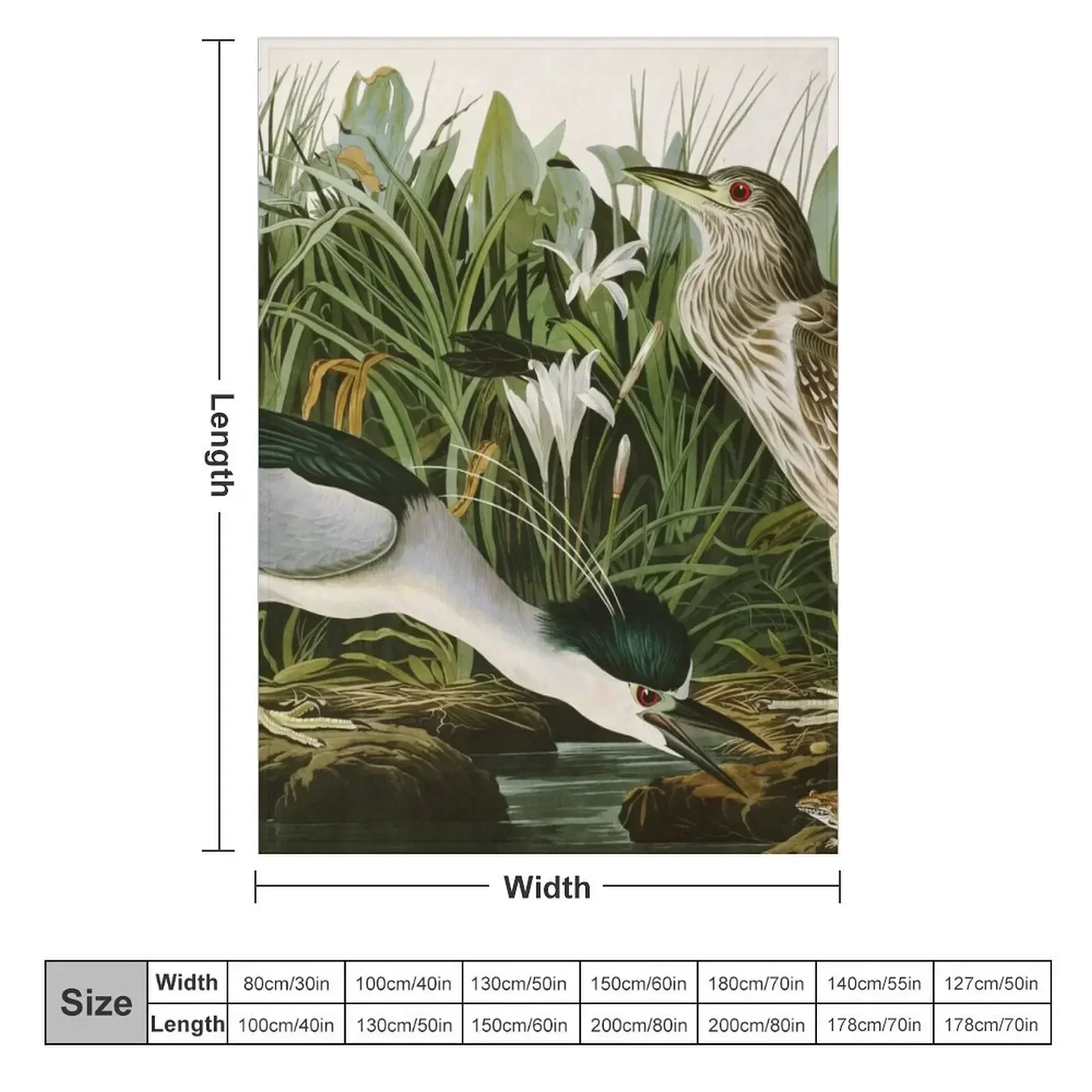 Night Heron - John James Audubon Birds of America Throw Blanket Bed Stuffeds Thins Luxury Camping Soft Blankets
