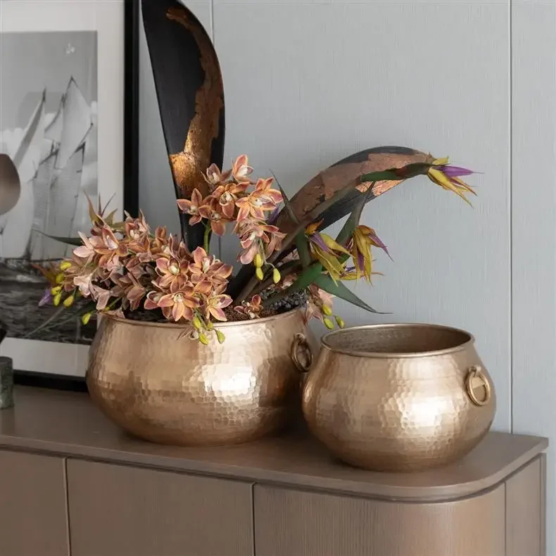 Metal Hammer-patterned Double-ring Round Basin Flower Vase Golden Bowl Flowerpot Handle Flower Pot Home Decoration Accessories