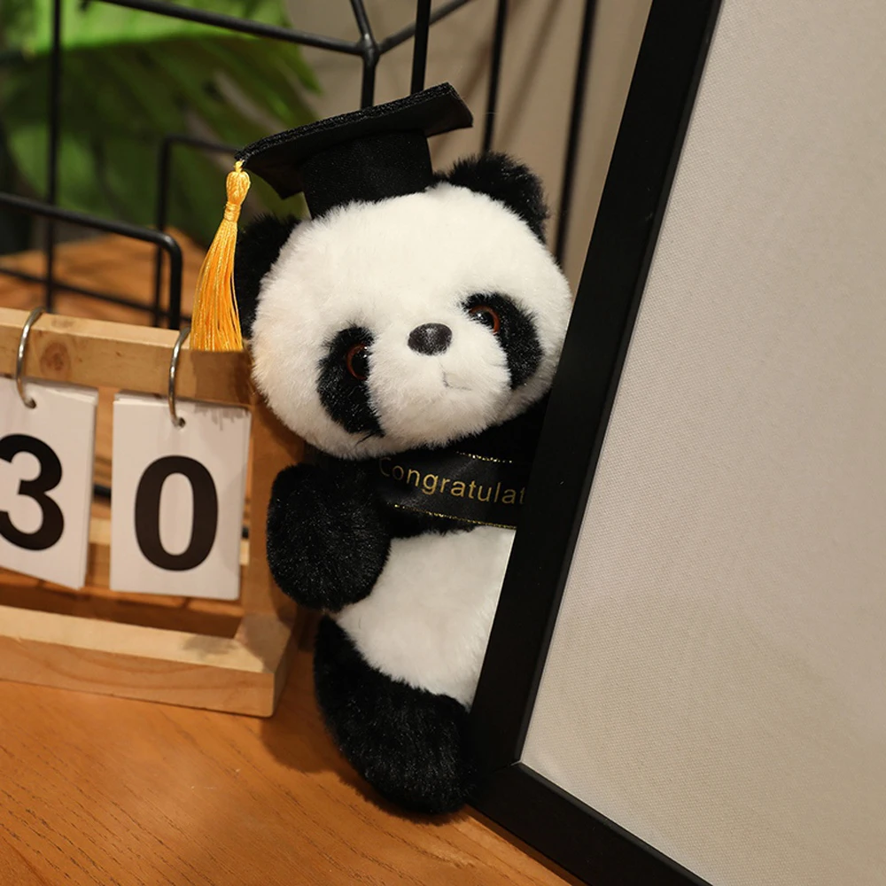20cm 대학원 허스키 박제 동물 졸업 팬더 플러시 장난감 푹신한 여우 모자 가운 저렴한 대학 Souvenir 플러시 선물