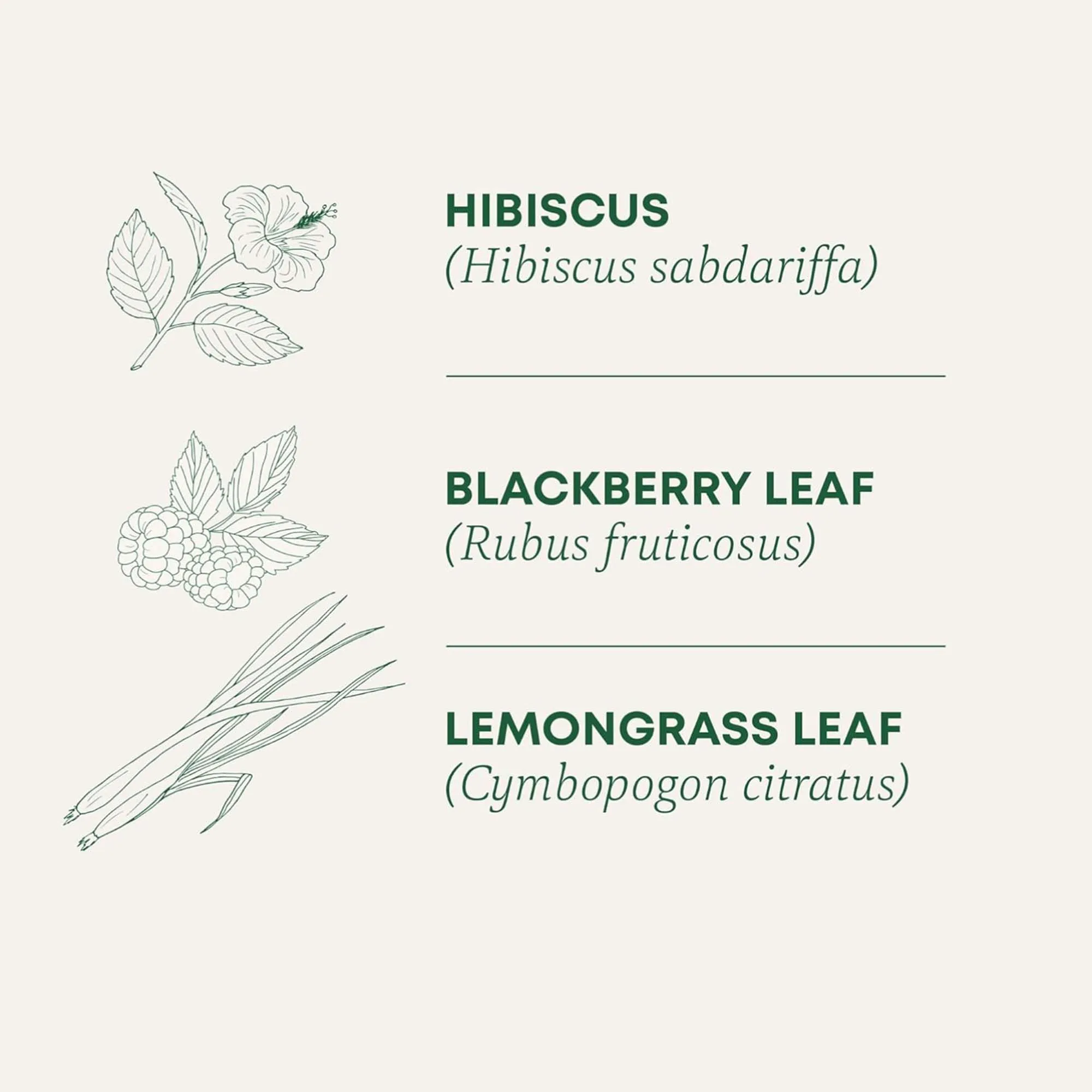 Bustina di tè ai fiori Luoshen, bustina di tisana decaffeinata, ricca di antiossidanti, regalo per gli amanti del tè, miscela ricca di antiossidanti