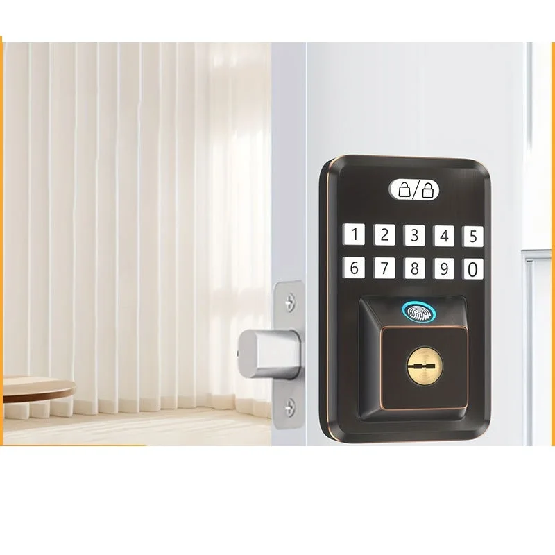 Electronic Fingerprint Door Lock Password Lock - Home Security Access Control System