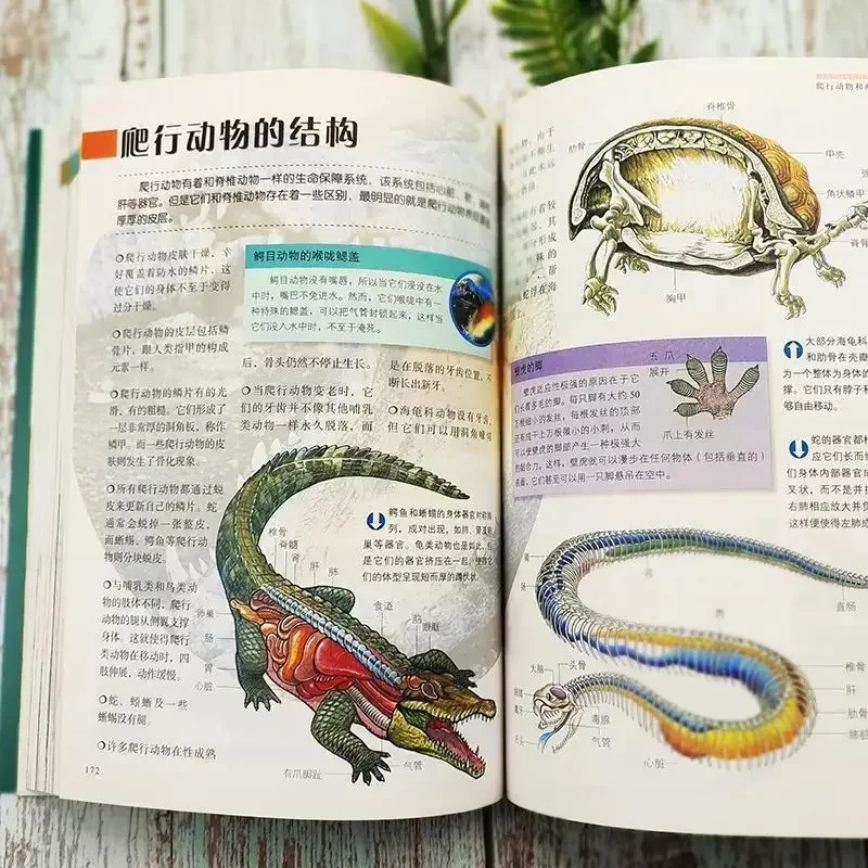 Panorama Biologia Mistero Enciclopedia Libri per bambini Enciclopedia delle conoscenze