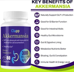 Akkermansia Muciniphila Probiotics High - Probiotics that promote digestive and immune health -10 billion AFU+organic prebiotics