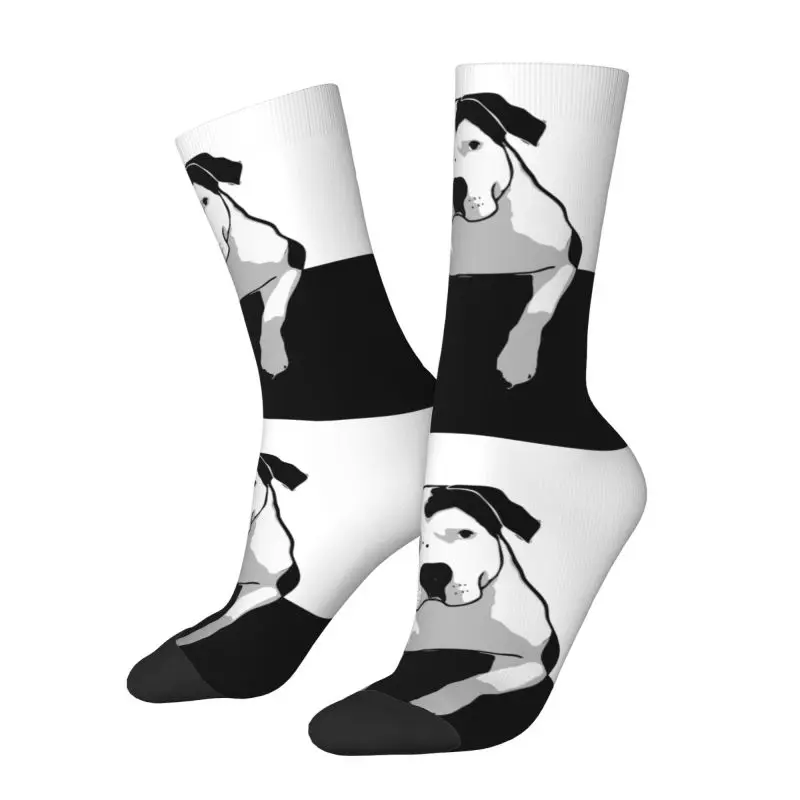 Simpatici calzini per cani Bull Terrier stampati per uomo donna elasticizzati estate autunno inverno EBT Animal Crew Socks