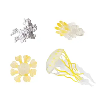 מחזור צמיחה מדוזה עבור בנים בנות הוראה כלים מדע עוגת טופרס מדע coppers