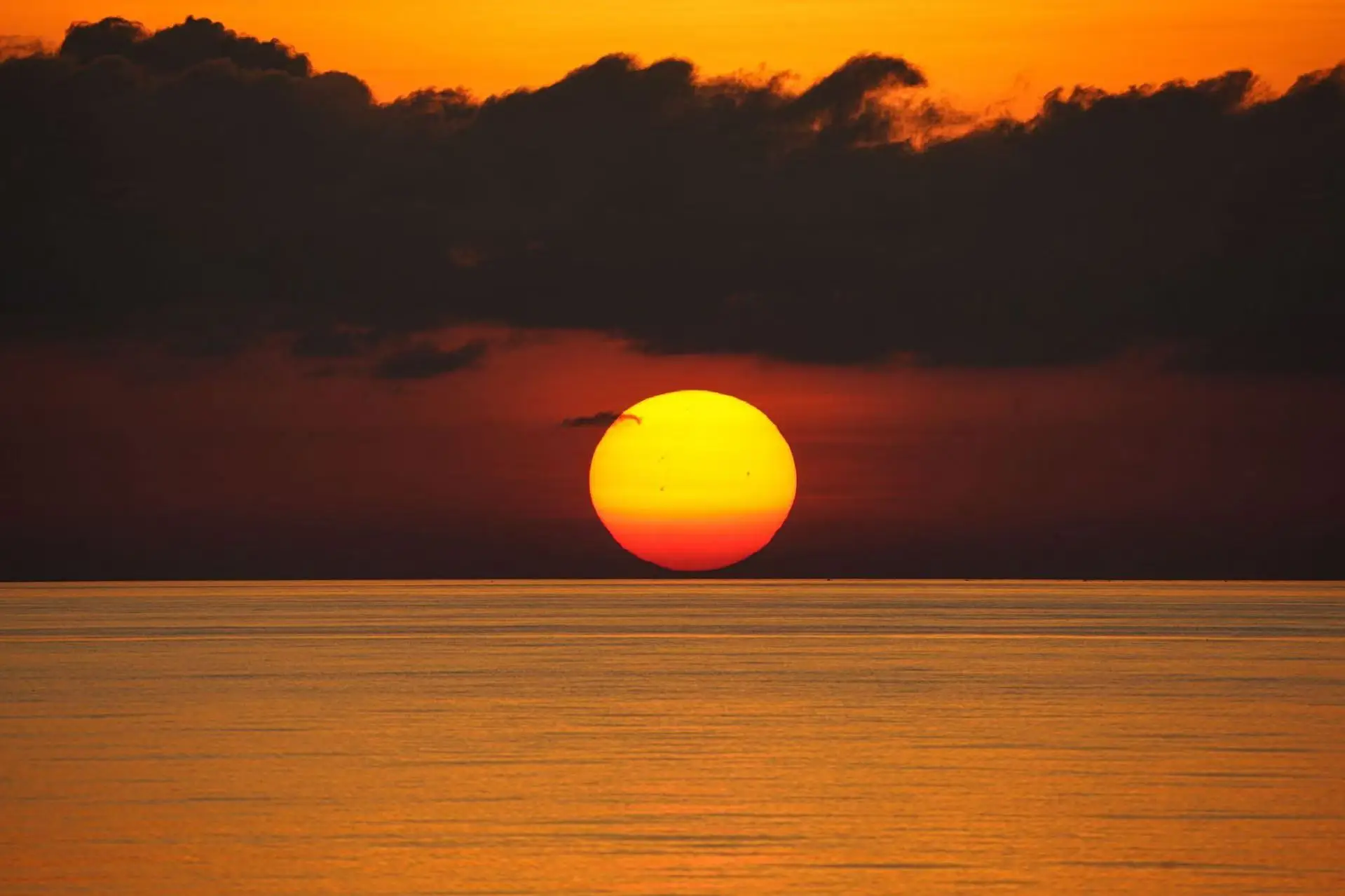 EMSZERO NEO RF HIEMT EMS 바디 스컬프 머신 전기 근육 자극기 근육 마사지기 지방 연소기 체중 감소 엉덩이 리프터 쉐이퍼