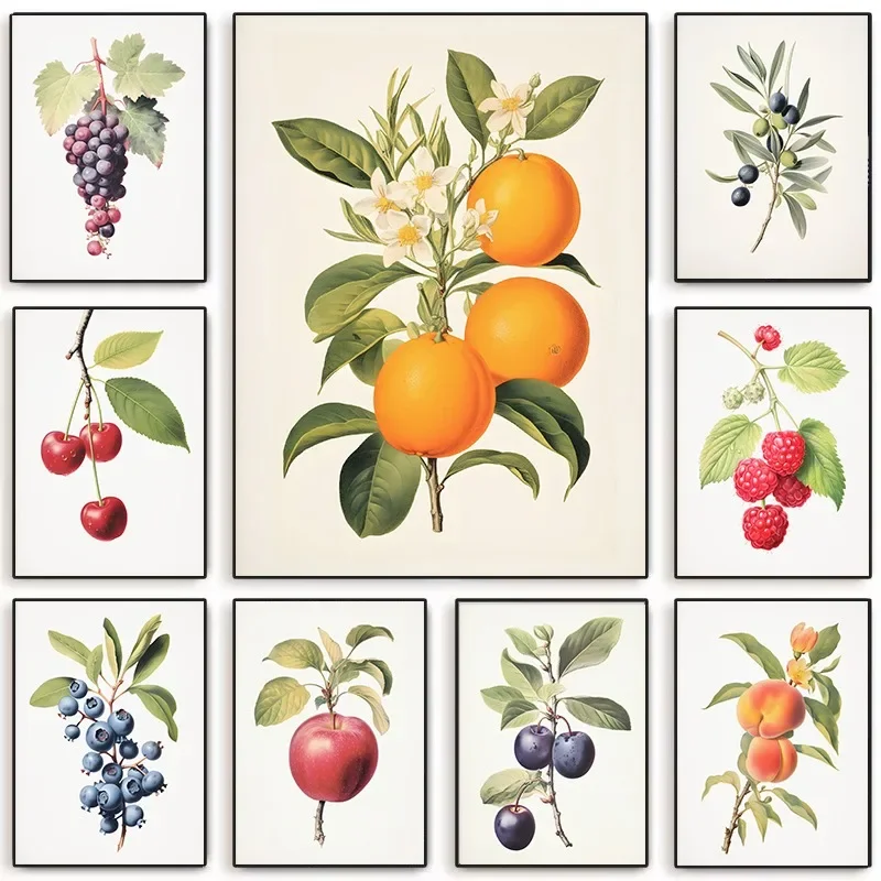Modern Vintage Citrus Fruit Wall Art Lemon Orange Grape Print for Kitchen Living Dining Room Home Decoration Housewarming Gift