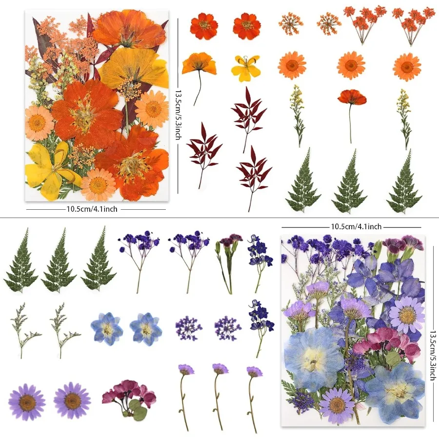 80 قطعة من الزهور المضغوطة المجففة للحرف اليدوية زهور مضغوطة مجففة طبيعية حقيقية في نغمات متعددة الألوان نابضة بالحياة لمجوهرات الراتنج ذاتية الصنع #3