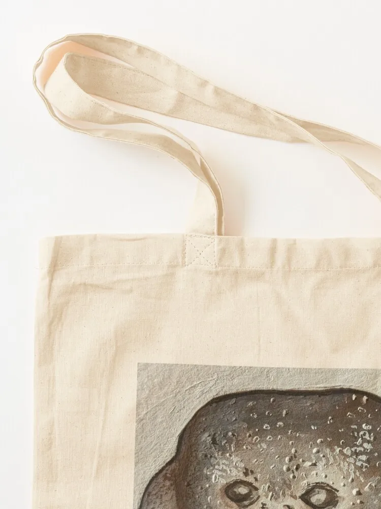 regenkikker Tote Bag Cadeauzakje schattige buideltas grote draagtas Grote tassen voor dames