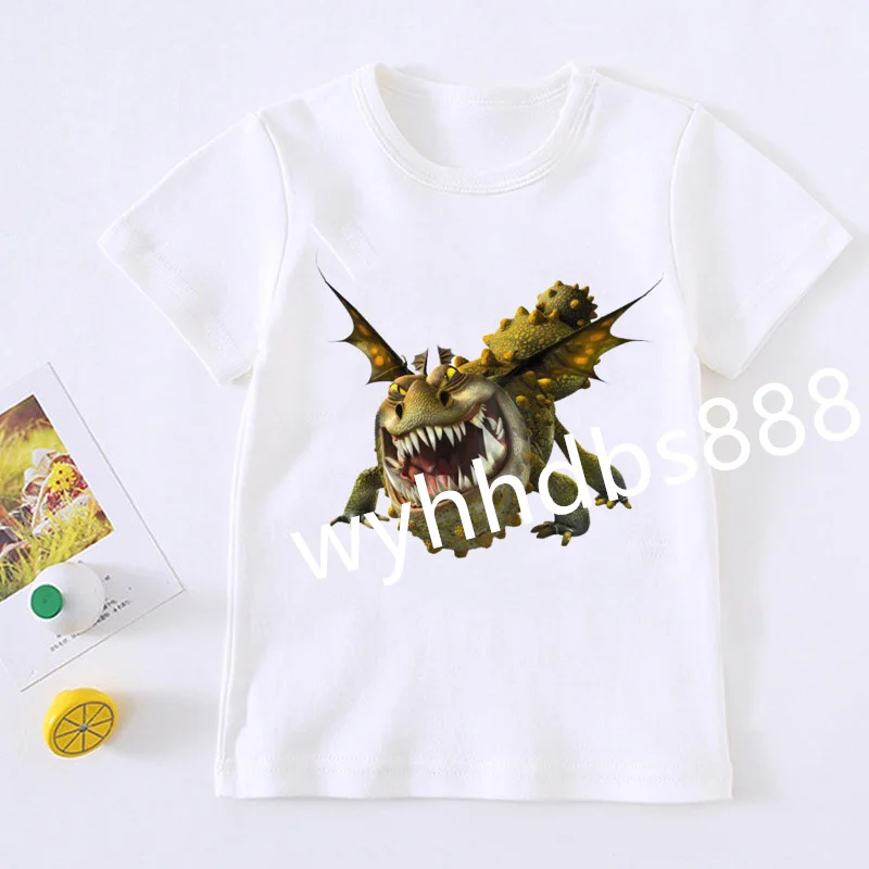 Dragon Taming Master Children's T-shirt O-neck Custom Printed T-shirt Boys and Girls Fashion Street Top