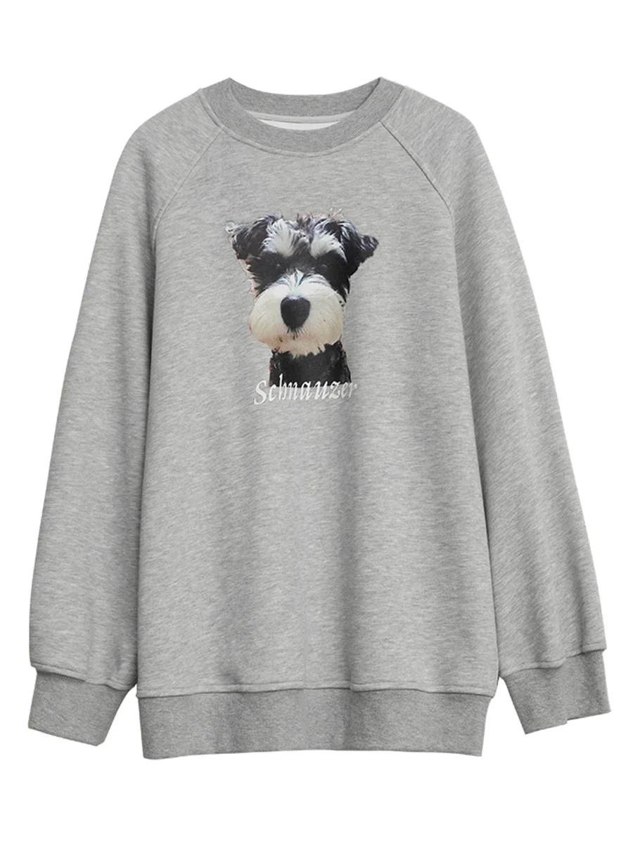 CHIC VEN Korean Women Sweatshirts New Round Neck Puppy Printed Loose Pullover Raglan Sleeve Female Top Spring Autumn 2024