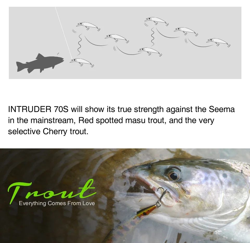 TSURINOYA Señuelo Hundente 70S Sinking Minnow para Trucha y Lubina - imagen 2
