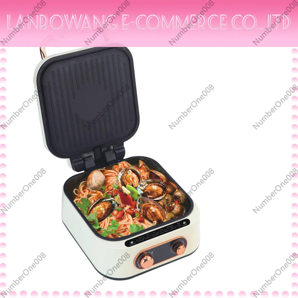 110V Multi-function Electric Cooker Non-Stick Skillet Steamer Fryer for Home