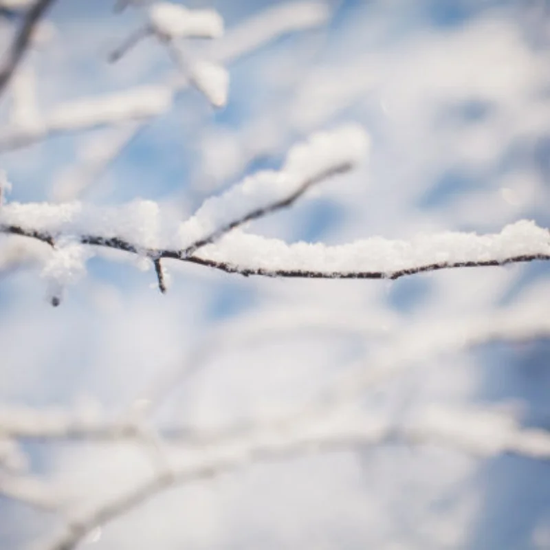 

4 шт. металлический обод колеса Beadlock 1,9 для 1/10 RC гусеничного автомобиля Trxs TRX4 RC4WD D90 Axial SCX10 90046 AXI03007