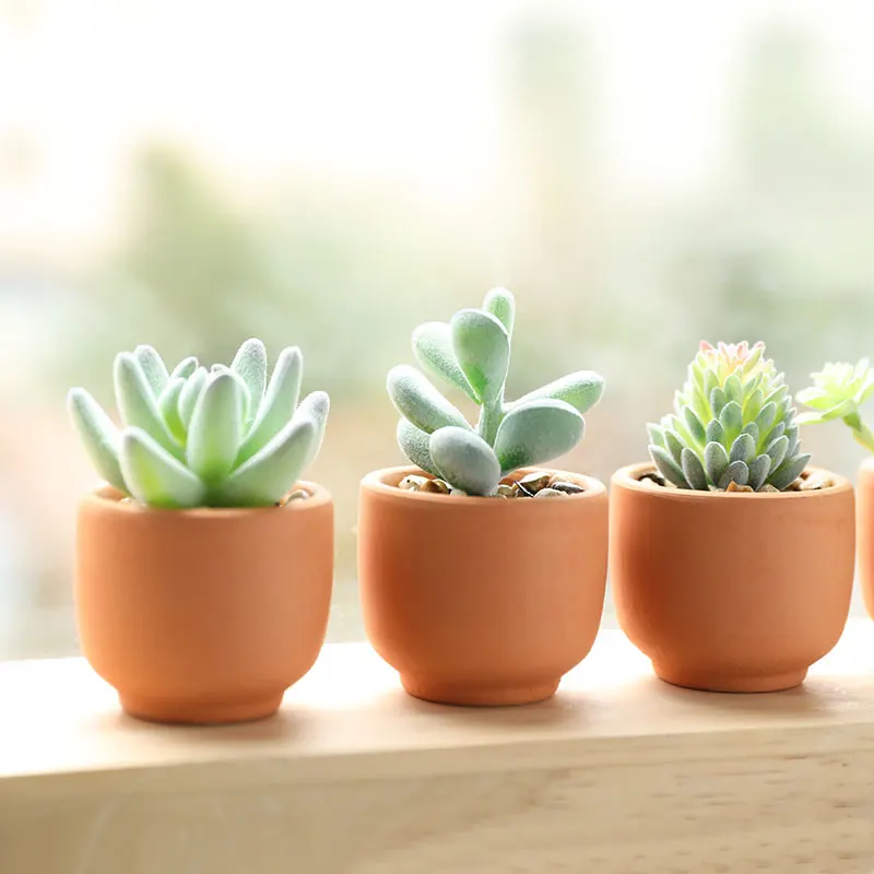 

Терракотовые искусственные сочные маленькие растения в горшках, декоративные украшения, зеленое растение, дисплей, бонсай, аксессуары для дома, ваза