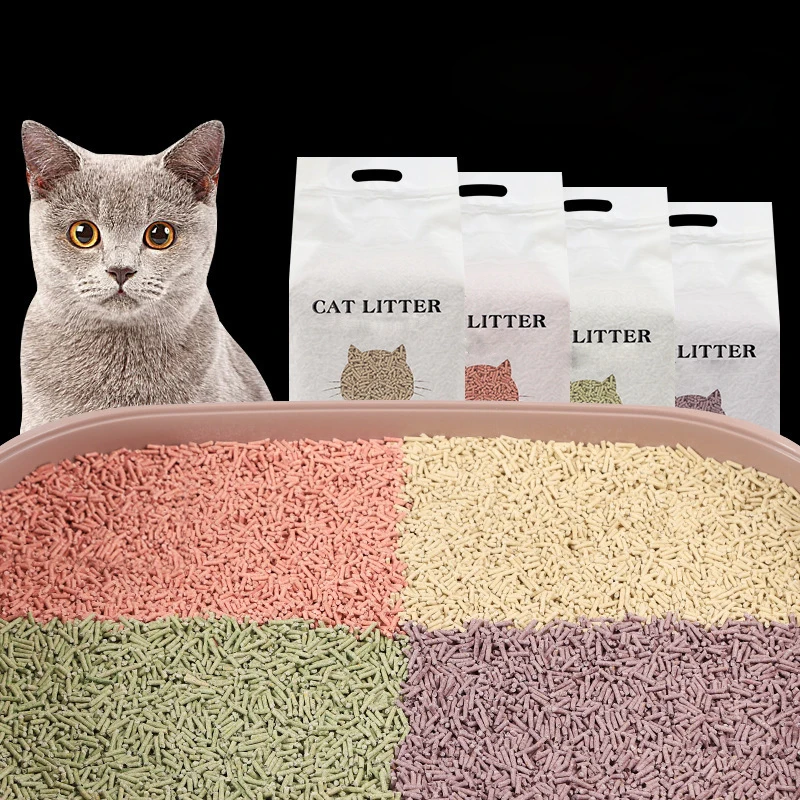 Chatoem Une Litière Naturelle pour Votre Chat, Écologique et Efficace