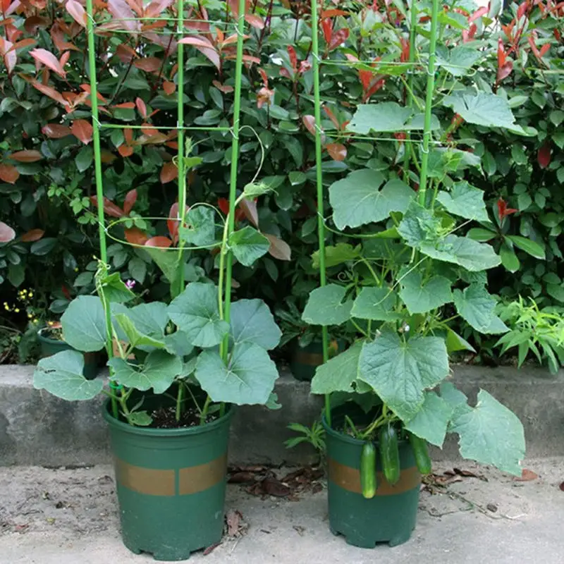 45cm Plant Support Plant Stakes Round Plant Support Ring Plastic Plant Cage Holder Flower Pot Climbing Trellis