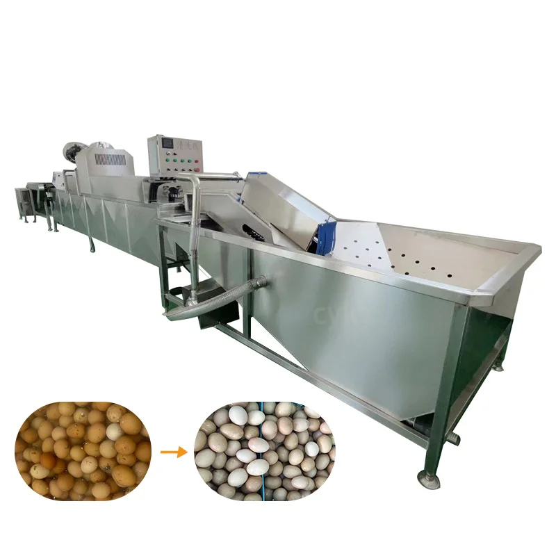 Customized Industrial Chicken Egg Washing Machine Automatic Egg Brusher Washer Stable Performance Anti Vibration Base