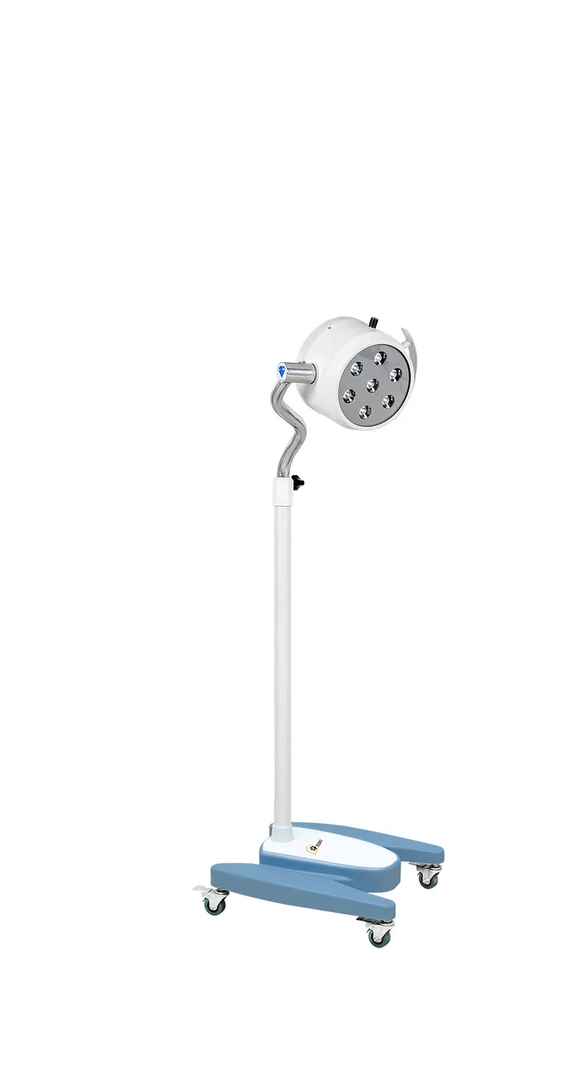 Veterinary Shadowless Surgery Lamp, Medical, Mobile, Fixed Version, Oral Lighting, High Quality Operating Room, KYLED200