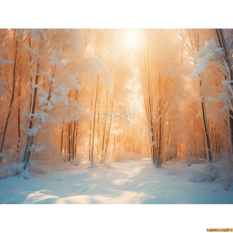 قطرات خلفية للتصوير الفوتوغرافي للغابات الشتوية ، طريق مغطى بالثلوج ، ندفات الثلج ، أشجار التنوب ، خلفية الصورة ،