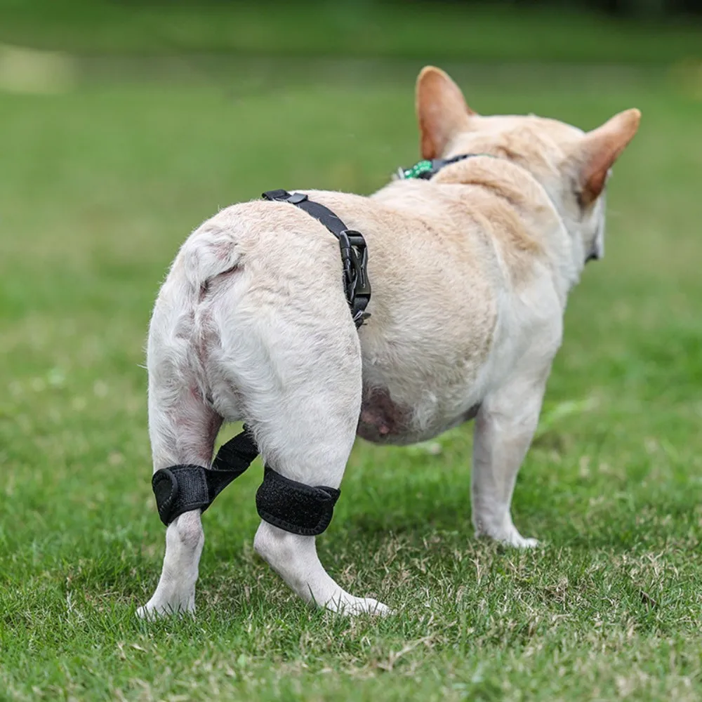 Dog Hip Aid Orthopedic Belt Pet Brace Injury Aid Rehabilitation Belt Dog Joint Injury Post-Operative Brace Dog Ligament Rehabili
