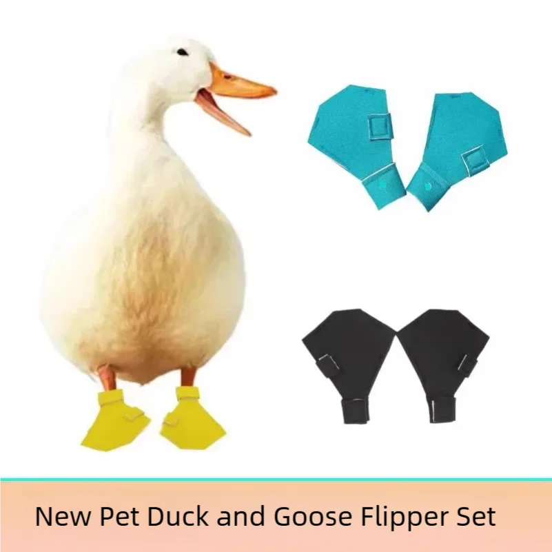 Suministros para mascotas, zapatos de pato y ganso, patas de pato Cole para mascotas, botas para pájaros, zapatos de protección