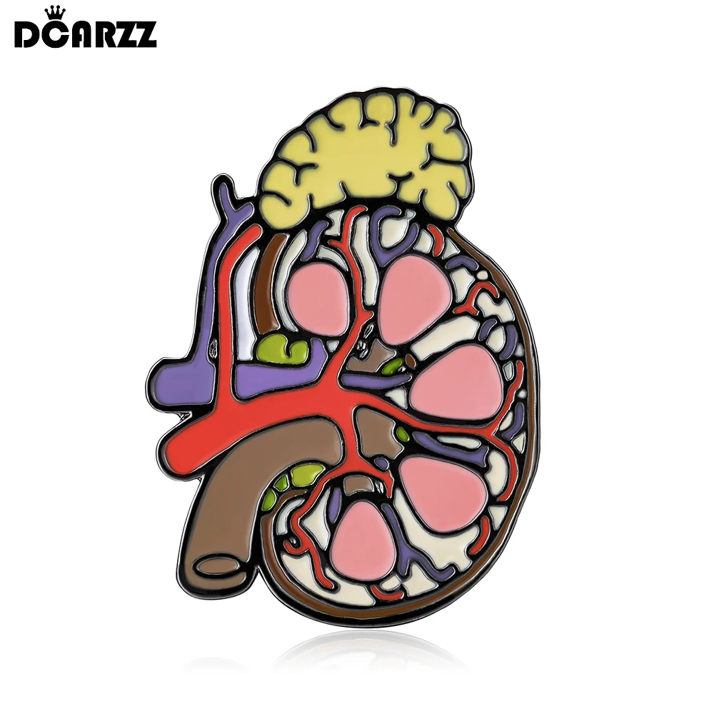 DCARZZ Kidney Enamel Brooch Medical Anatomy Biology Organ Pin Badge for Doctor Nurse Medicine Student Jewelry Accessories