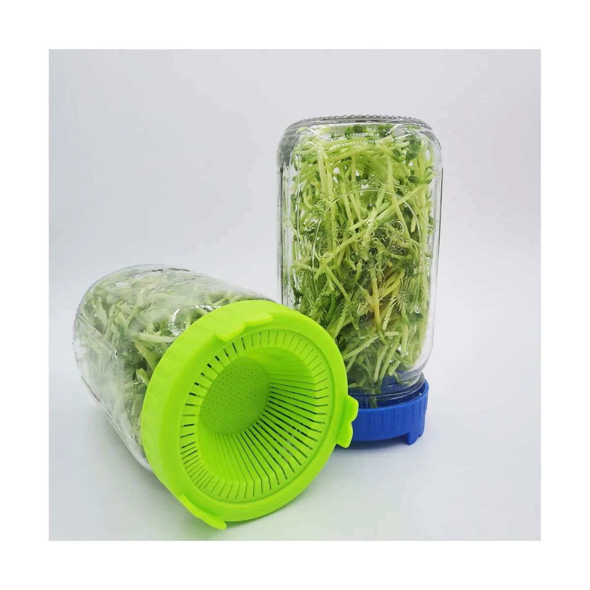 6PCS Sprouting Kit Sprout Jars Lids Mesh Lids for Wide Mouth Jars Indoor Microgreens Plants Growing Screen,A