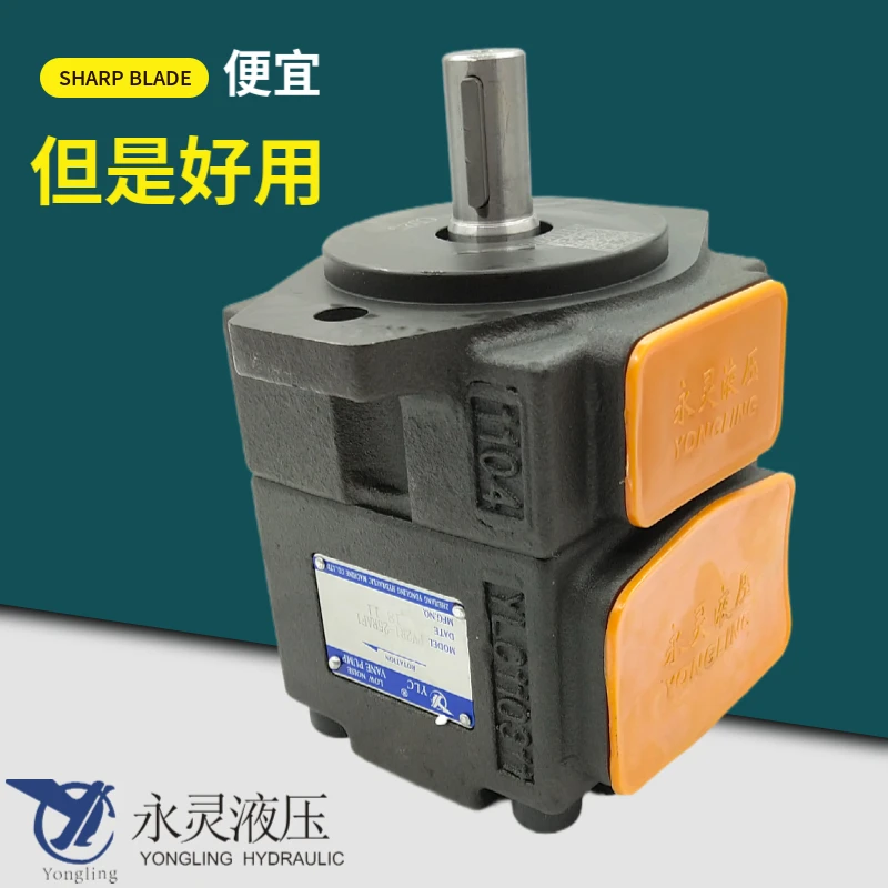 Xianju Yongling High Pressure Vane Pump PV2R1- 31/19/17 Low Noise Oil Pump PV2R2- 41/47/53/65