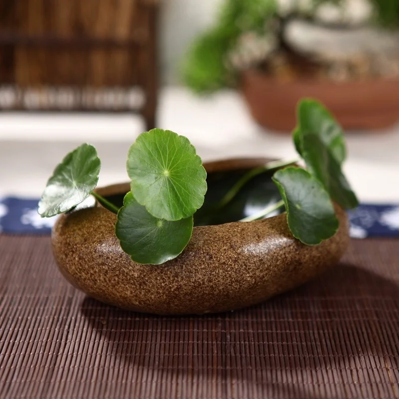 japanese-sle-thi-cercs-succulent-planters-hydroponic-stone-simulation-small-flower-vels-tea-ceremony-accories